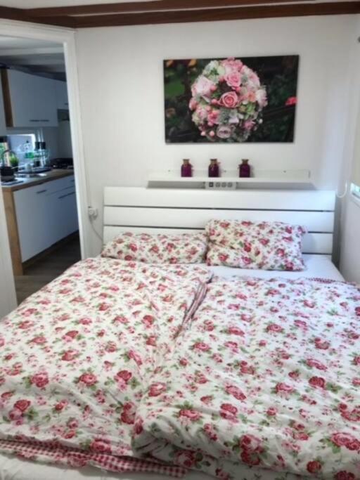 Ferienhaus Meise Wervershoof المظهر الخارجي الصورة